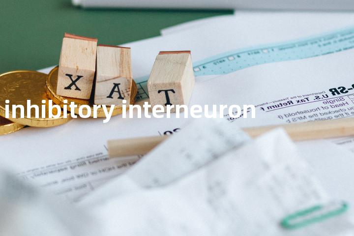 inhibitory interneuron单词图解，单词释义场景配图