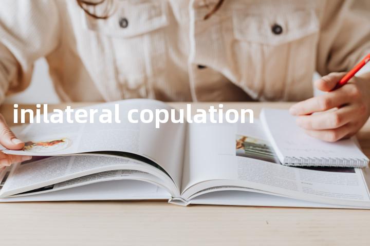 inilateral copulation单词图解，单词释义场景配图