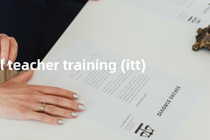 initial teacher training (itt)单词图解，单词释义场景配图