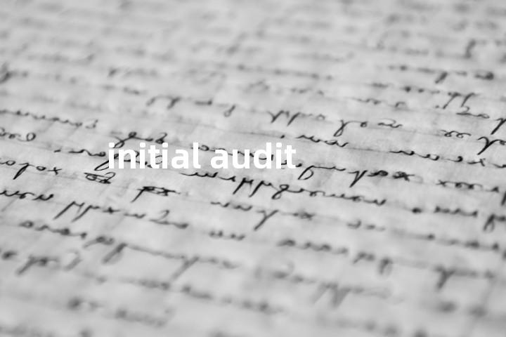 initial audit单词图解，单词释义场景配图