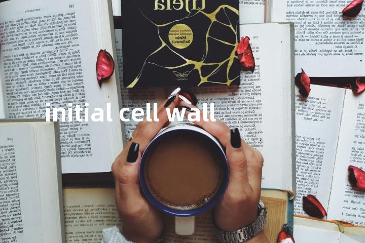 initial cell wall单词图解，单词释义场景配图