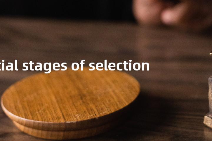 initial stages of selection单词图解，单词释义场景配图