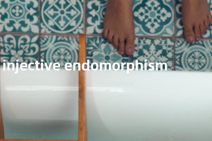 injective endomorphism单词图解，单词释义场景配图