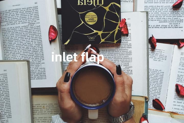inlet flap单词图解，单词释义场景配图