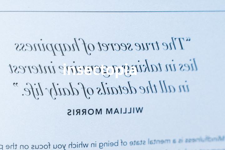 insectopia单词图解，单词释义场景配图