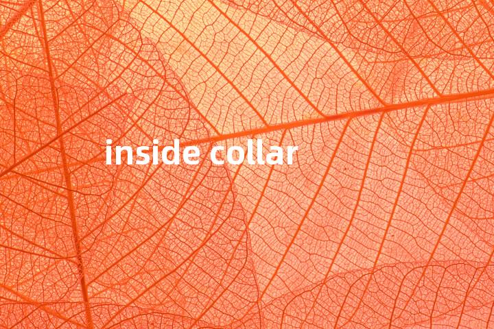 inside collar单词图解，单词释义场景配图