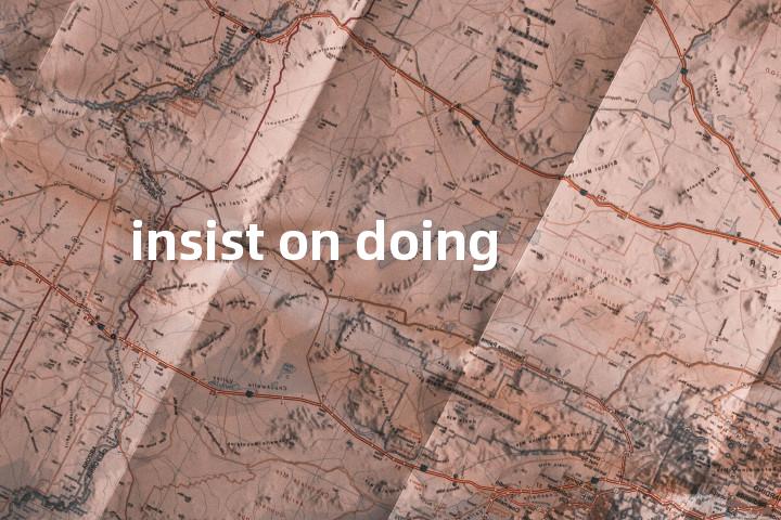 insist on doing单词图解，单词释义场景配图