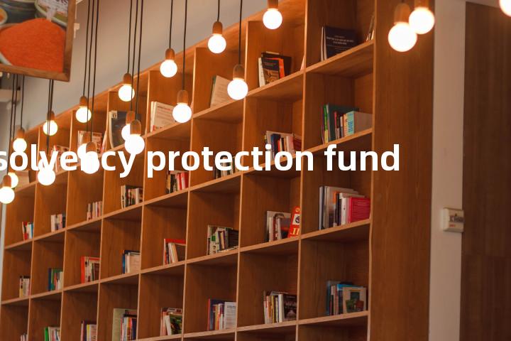 insolvency protection fund单词图解，单词释义场景配图