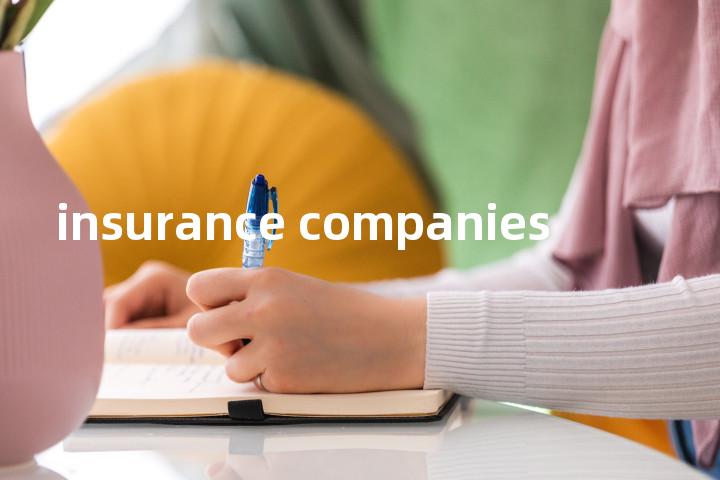 insurance companies单词图解，单词释义场景配图