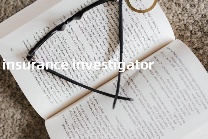 insurance investigator单词图解，单词释义场景配图