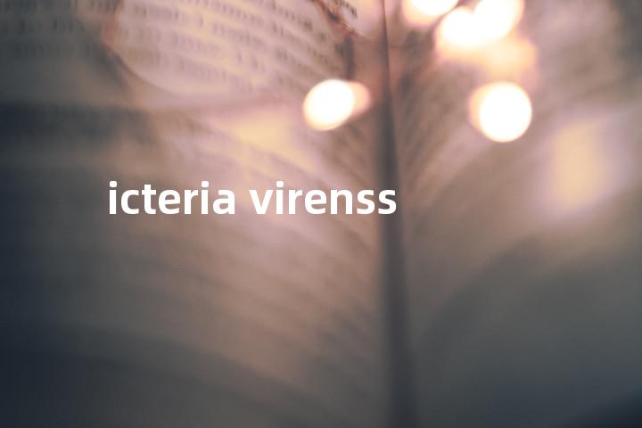 icteria virenss单词图解，单词释义场景配图