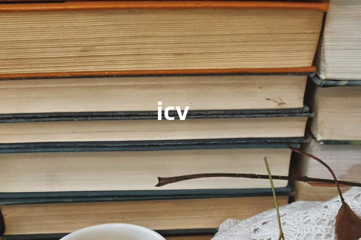 icv单词图解，单词释义场景配图