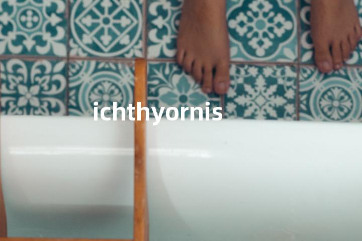 ichthyornis单词图解，单词释义场景配图