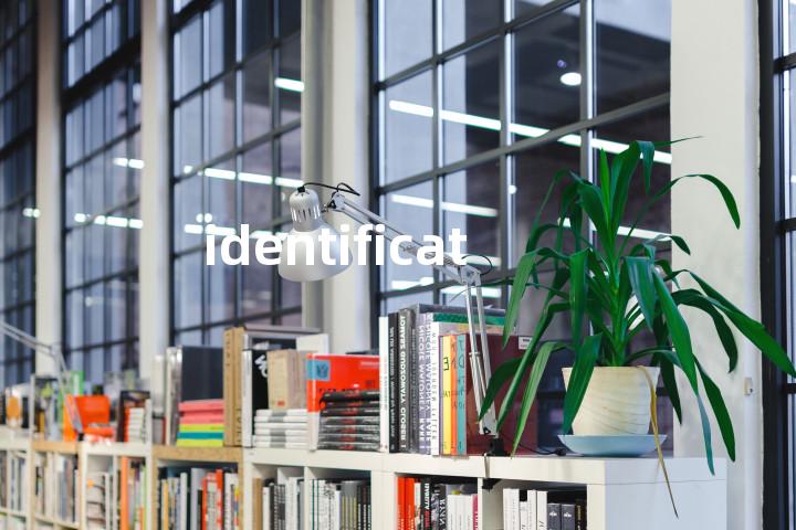 identification