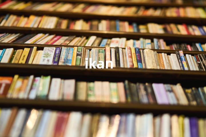 ikan单词图解，单词释义场景配图