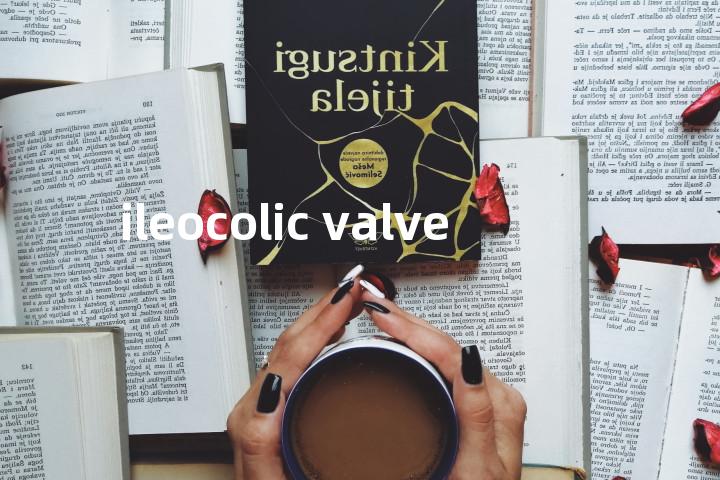 ileocolic valve单词图解，单词释义场景配图
