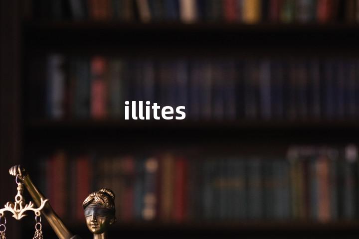 illites单词图解，单词释义场景配图