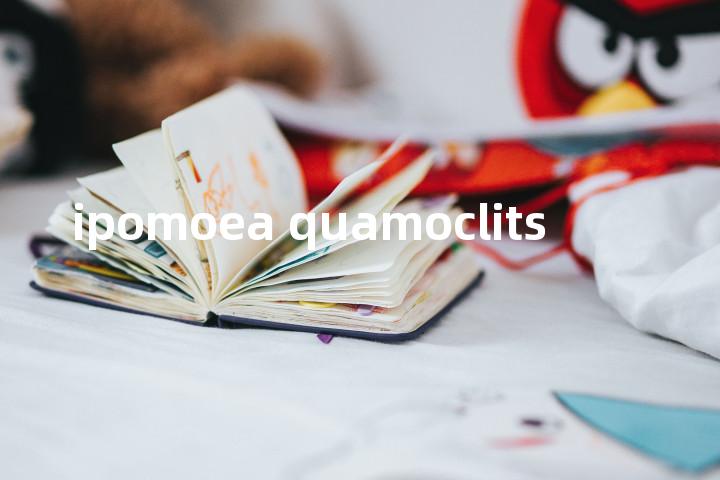 ipomoea quamoclits单词图解，单词释义场景配图