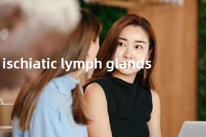 ischiatic lymph glands单词图解，单词释义场景配图
