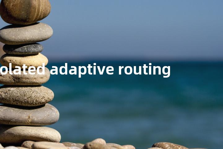isolated adaptive routing单词图解，单词释义场景配图