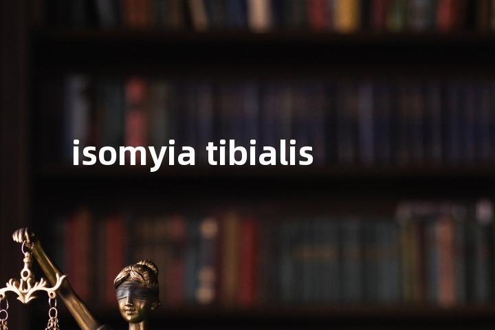 isomyia tibialis单词图解，单词释义场景配图