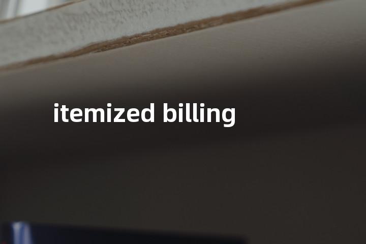itemized billing单词图解，单词释义场景配图