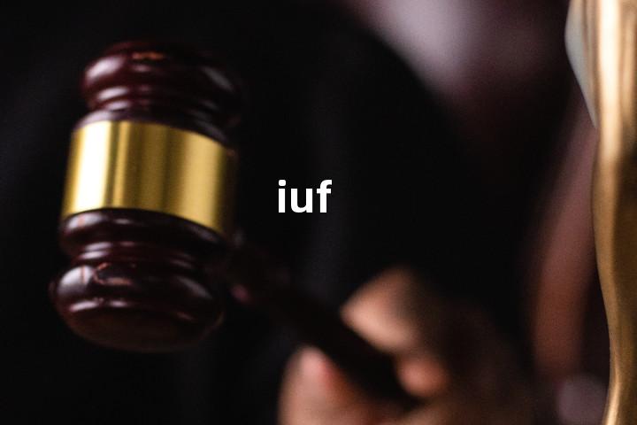 iuf单词图解，单词释义场景配图