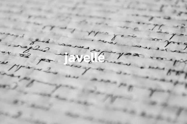 javelle单词图解，单词释义场景配图