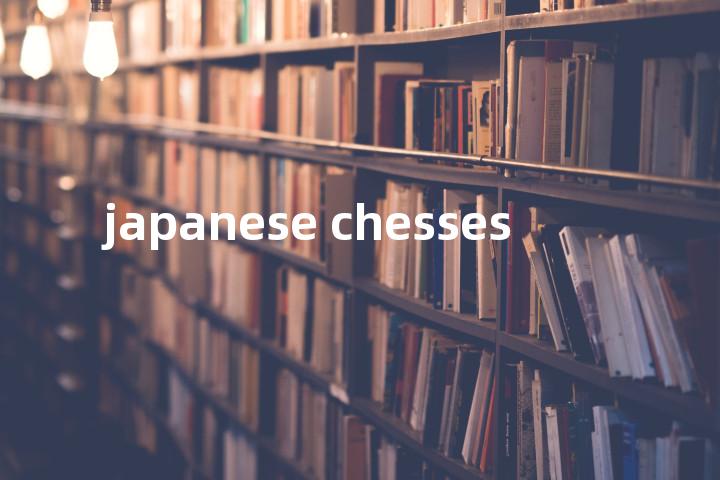 japanese chesses单词图解，单词释义场景配图