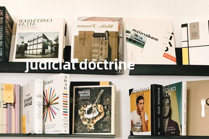 judicial doctrine单词图解，单词释义场景配图