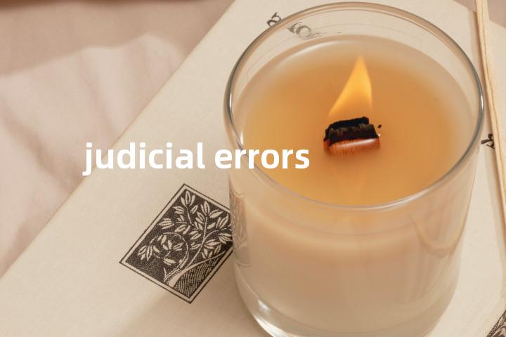 judicial errors单词图解，单词释义场景配图