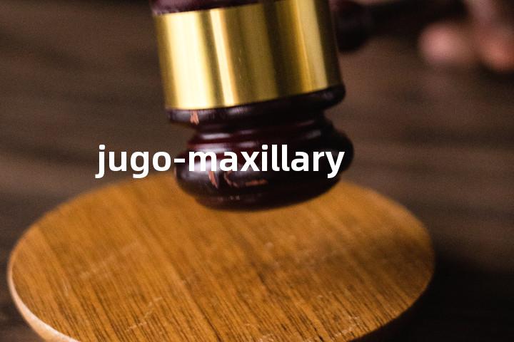 jugo-maxillary单词图解，单词释义场景配图