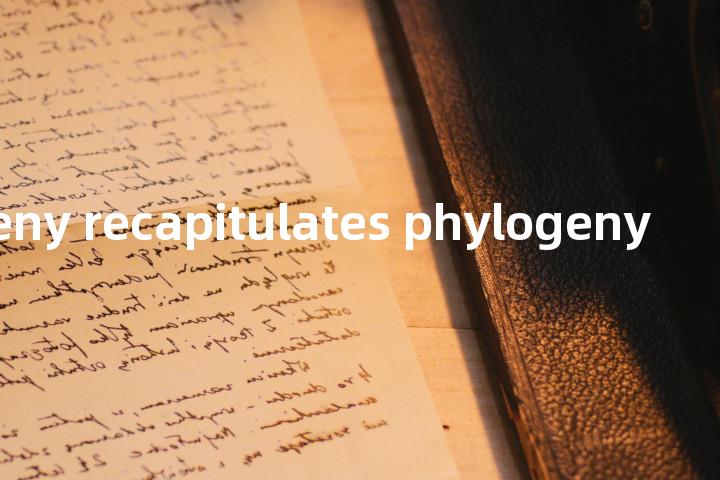 ontogeny recapitulates phylogeny单词图解，单词释义场景配图