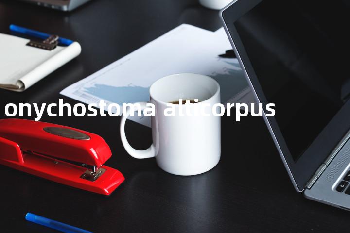 onychostoma alticorpus单词图解，单词释义场景配图