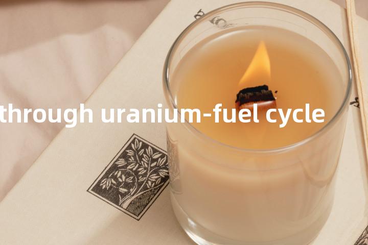 once-through uranium-fuel cycle单词图解，单词释义场景配图
