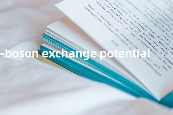 one-boson exchange potential单词图解，单词释义场景配图