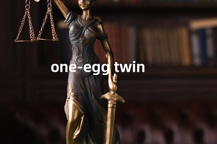 one-egg twin单词图解，单词释义场景配图