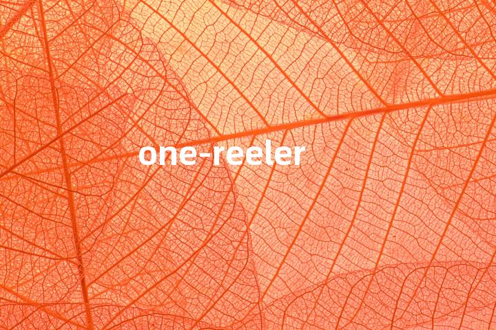 one-reeler单词图解，单词释义场景配图