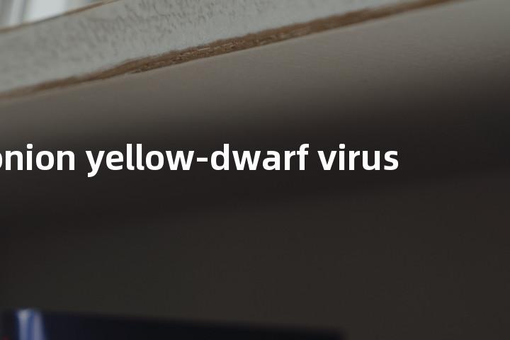 onion yellow-dwarf virus单词图解，单词释义场景配图