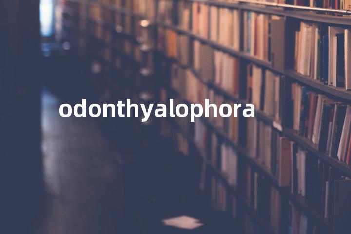 odonthyalophora单词图解，单词释义场景配图
