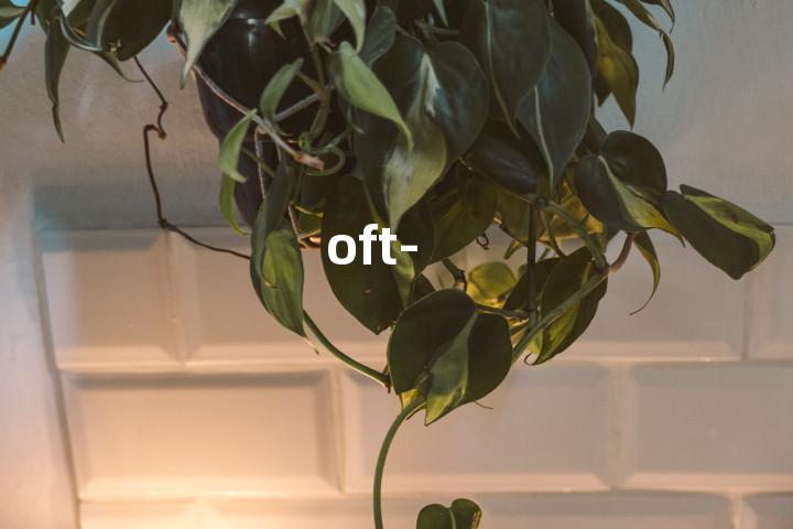 oft-单词图解，单词释义场景配图