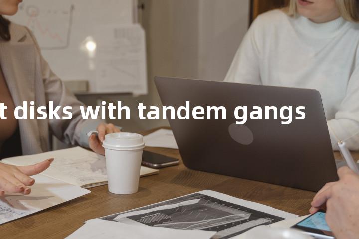 offset disks with tandem gangs单词图解，单词释义场景配图