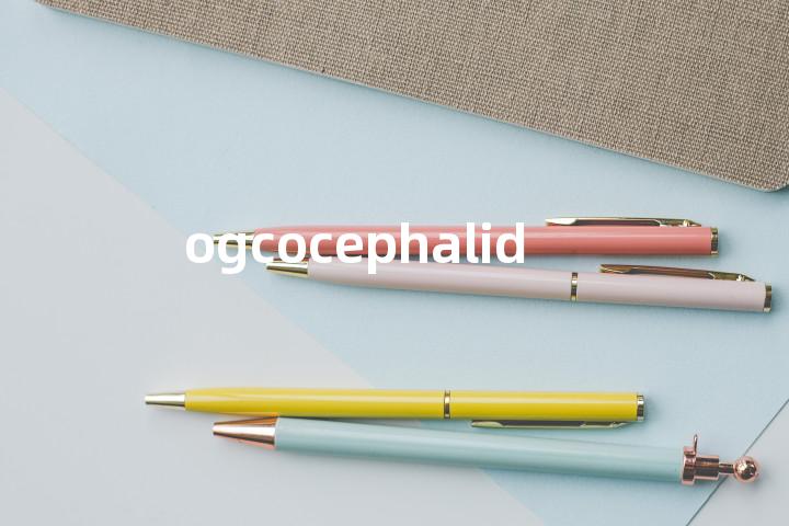 ogcocephalid单词图解，单词释义场景配图