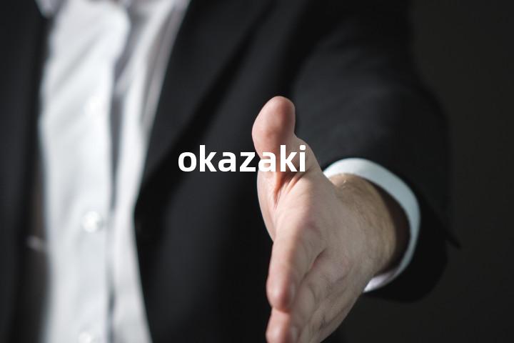 okazaki单词图解，单词释义场景配图
