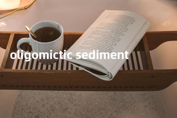 oligomictic sediment单词图解，单词释义场景配图