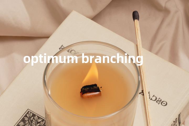 optimum branching单词图解，单词释义场景配图