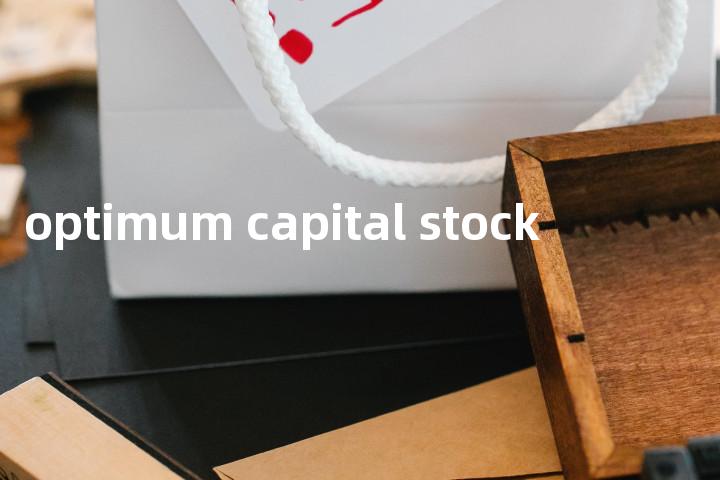 optimum capital stock单词图解，单词释义场景配图