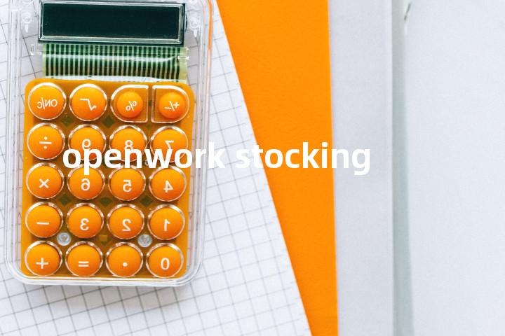 openwork stocking单词图解，单词释义场景配图