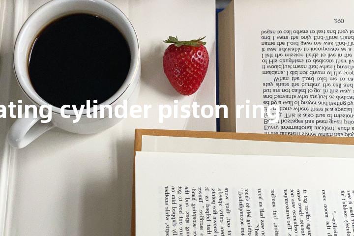 operating cylinder piston ring单词图解，单词释义场景配图