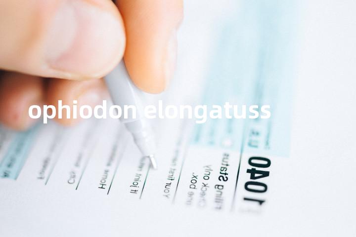ophiodon elongatuss单词图解，单词释义场景配图